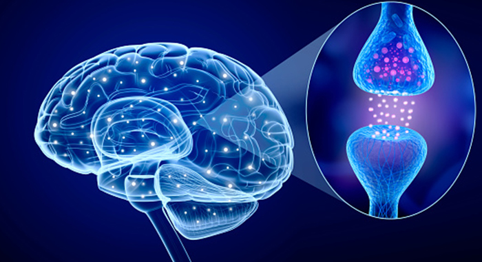 Parkinson Hastalığı Ne Demektir?