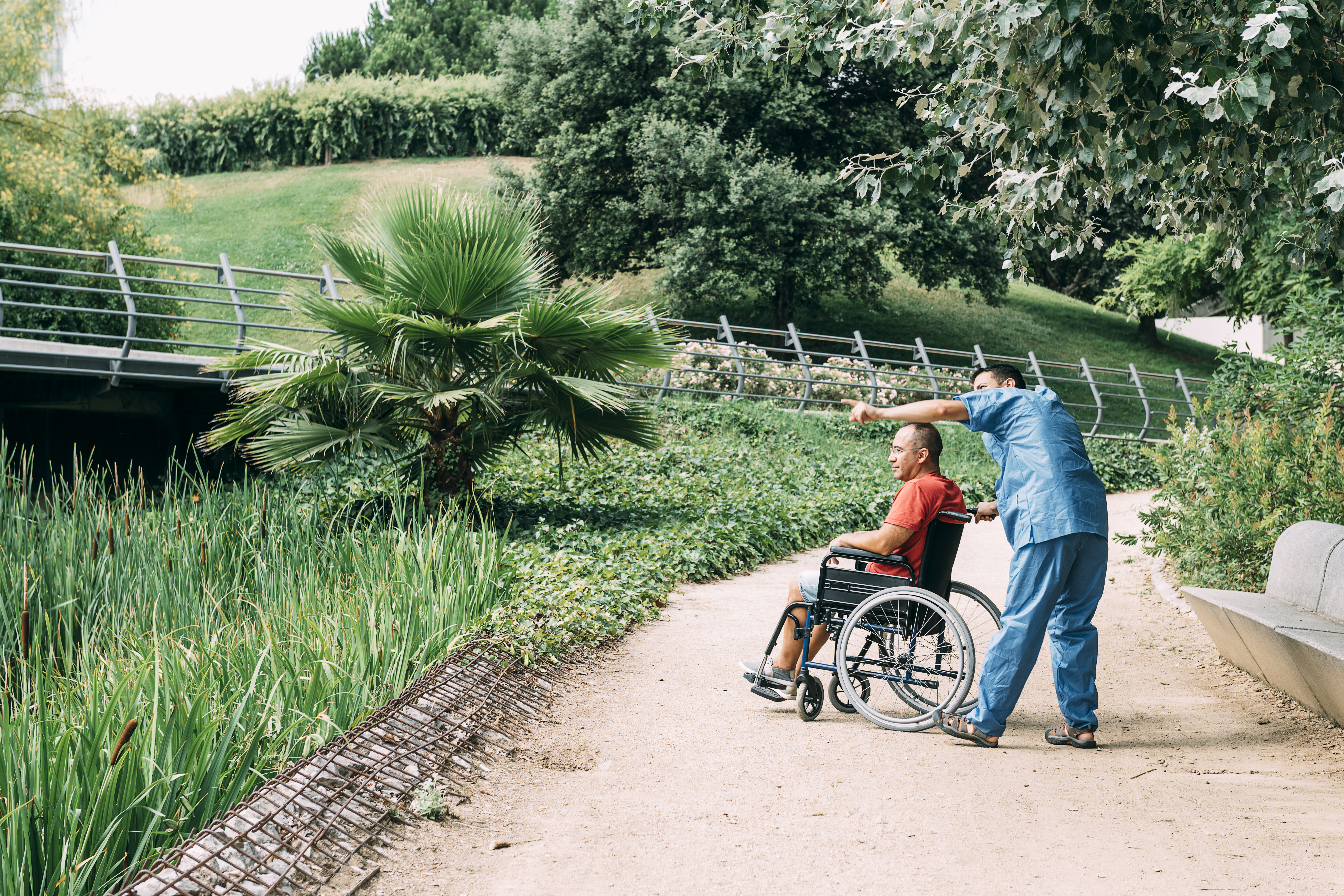 Parapleji Nedir?